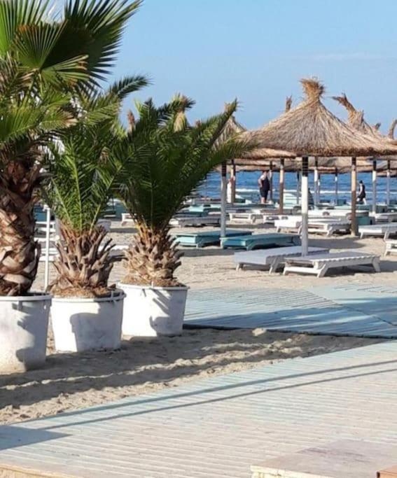 Alezzy Beach Apartament Prima Linie La Mare Navodari Exterior photo